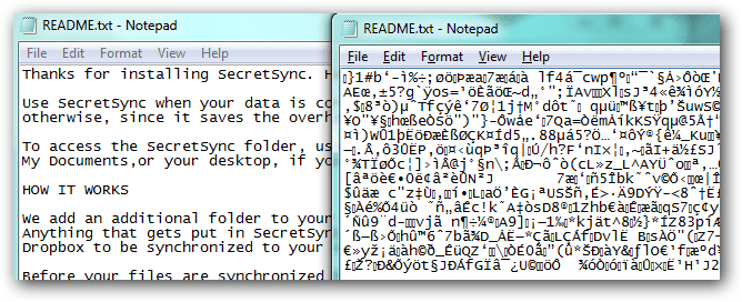 Example of a ransomware-encrypted document showing unreadable text, illustrating malicious software attacks, common malware infection signs, and why malware prevention is critical for businesses. If you want, I can make a shorter version for WordPress or one that focuses even more heavily on SEO keywords.