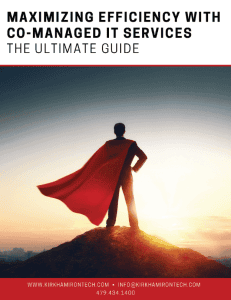 maximizing efficiency with co-managed it services-2